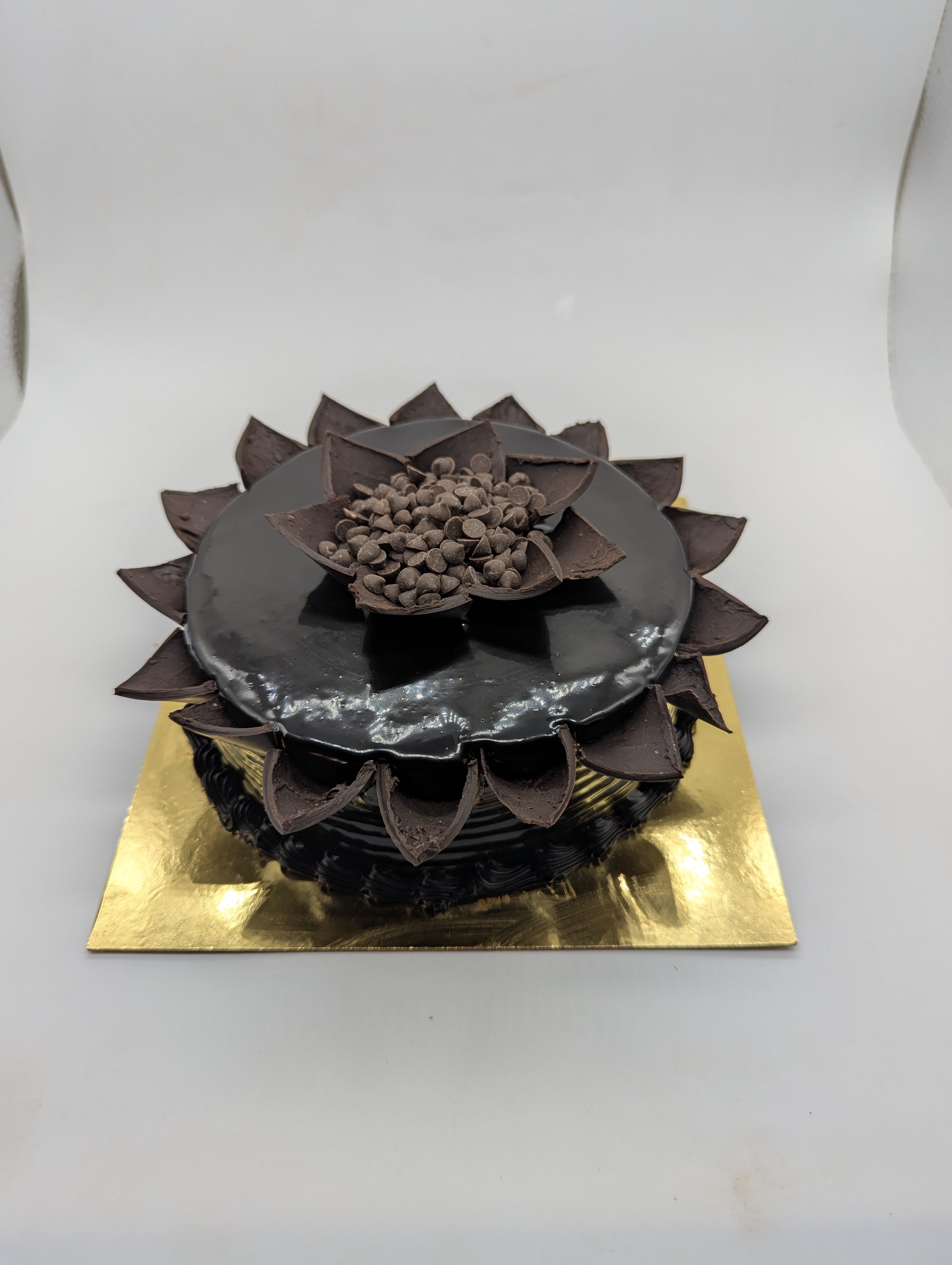 Moose Chocolate Cake